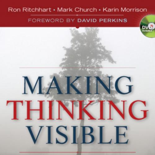 Making Thinking Visible