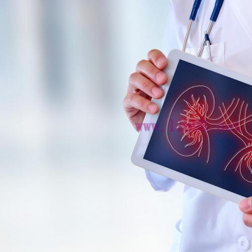 [AME]Beyond BASIC Intensive Care Nephrology 2013 (Videos)