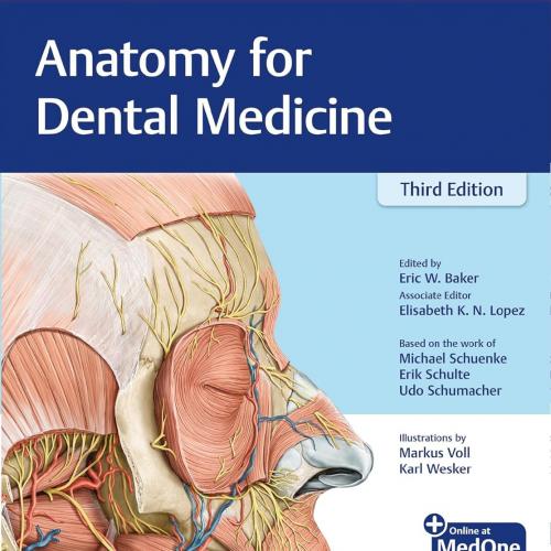 Anatomy for Dental Medicine 3rd Edition