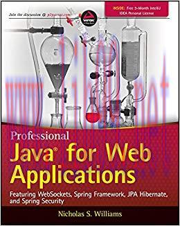 Professional Java for Web Applications 1st Edition,