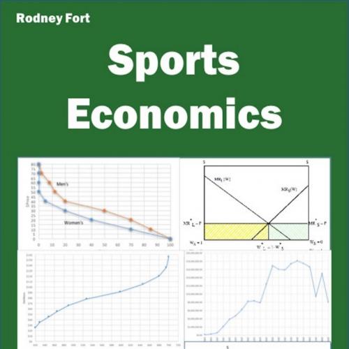 Sports Economics_ PC User Version 1.0