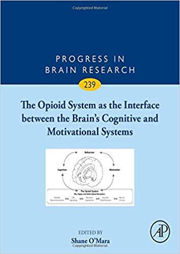 The Opioid System As the Interface Between the Brain&rsquo;s Cognitive and Motivational Systems