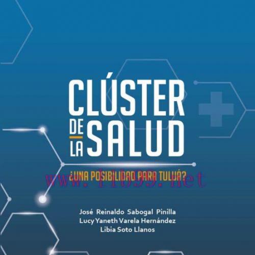 [AME]CL&Uacute;STER DE LA SALUD. &iquest;UNA POSIBILIDAD PARA TULU&Aacute;? (Original PDF)