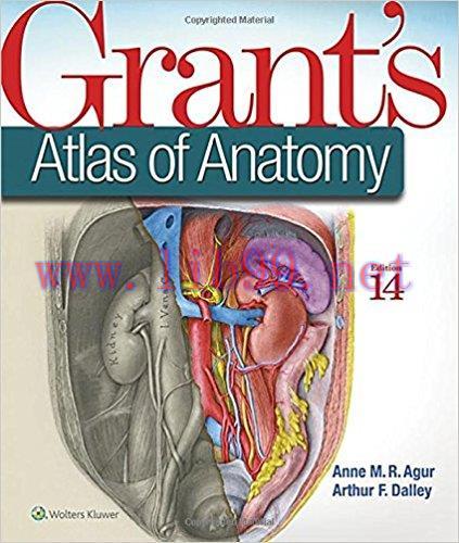 [PDF]Grant&rsquo;s Atlas of Anatomy, 14th Edition
