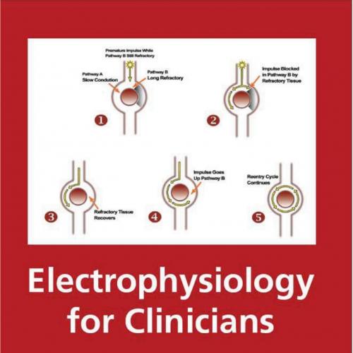 Electrophysiology for Clinicians - Wei Zhi