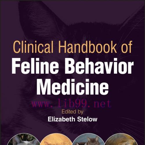 [AME]Decision-Making in Veterinary Practice (EPUB)