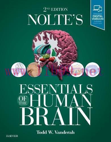 [AME]Nolte&rsquo;s Essentials of the Human Brain, 2e (Original PDF)