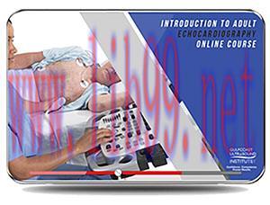 [AME]Introduction to Adult Echocardiography 2019 (Gulfcoast Ultrasound Institute) (CME Videos)