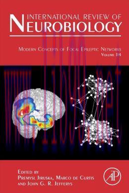 [AME]Modern Concepts of Focal Epileptic Networks (Original PDF)