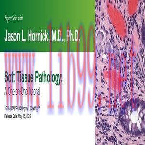 [AME]2019 Expert Series with Jason L. Hornick, M.D., Ph.D. Soft Tissue Pathology A One-On-One T...