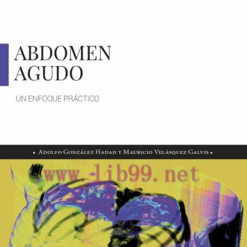 [AME]ABDOMEN AGUDO. UN ENFOQUE PR&Aacute;CTICO (Original PDF)