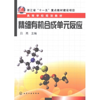 精细有机合成单元反应 吕亮编