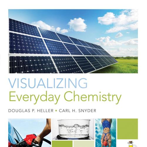 Visualizing Everyday Chemistry - Heller, Douglas P_
