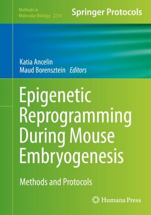 Epigenetic Reprogramming During Mouse Embryogenesis