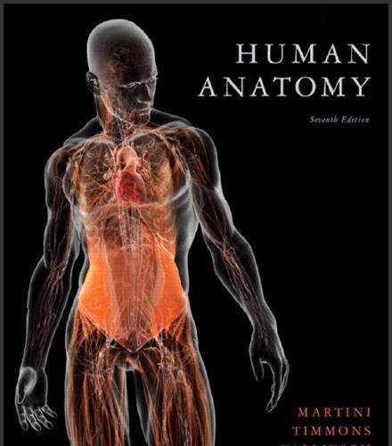 (Test Bank)Human Anatomy 7th Edition by Martini.zip