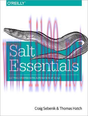 [SAIT-Ebook]Salt Essentials