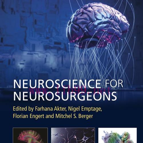 [AME]Neuroscience for Neurosurgeons (EPUB)