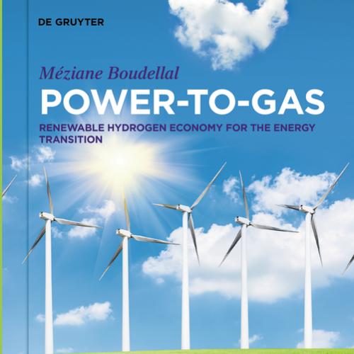 Power-to-Gas Renewable Hydrogen Economy for the Energy Transition