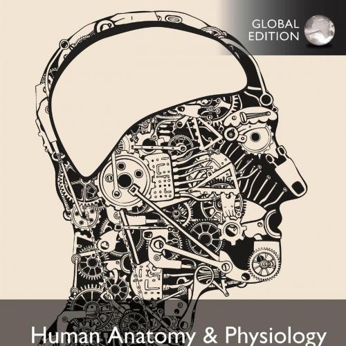 Human Anatomy & Physiology,1st Global Edition 1e by Amerman