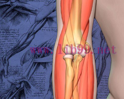 [AME]2020 Mayo Clinic Teach the Teachers Elbow Course - Forging the Future (CME VIDEOS)
