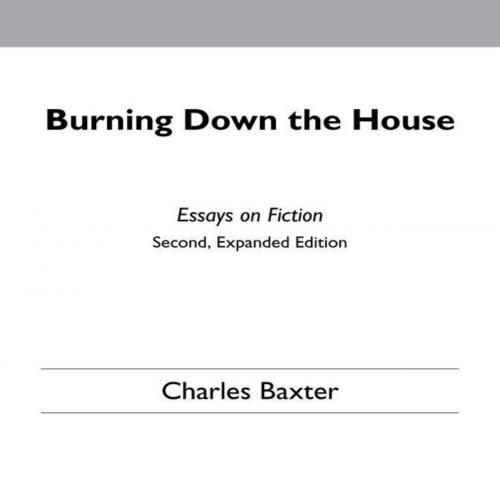 Burning Down the House_ Essays on Fiction (1)