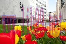 [AME]Mayo Clinic Internal Medicine Board Review 2022 (Videos + Quiz)