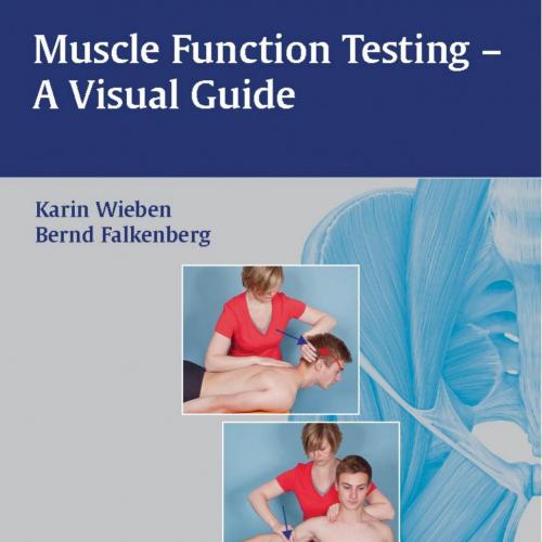 Muscle Function Testing A Visual Guide