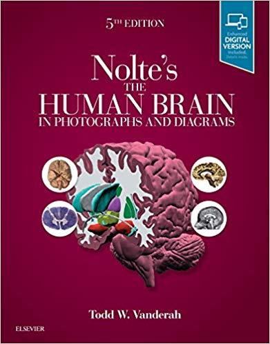 Nolte’s The Human Brain in Photographs and Diagrams 5th Edition