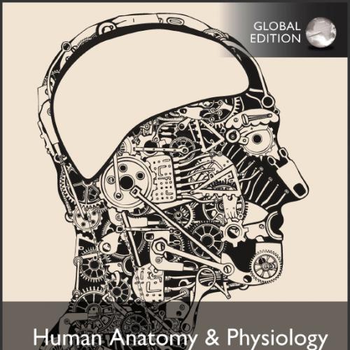 (Test Bank)Human Anatomy & Physiology,1st Global Edition Erin C. Amerman.zip