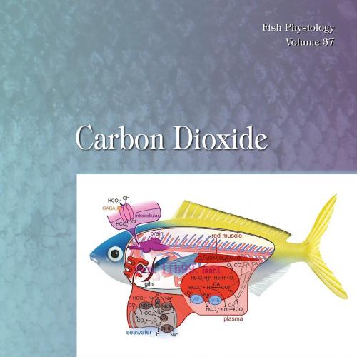 [AME]Carbon Dioxide, Volume 37 (EPUB)