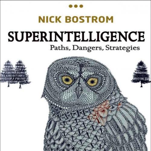Superintelligence_ Paths, Dangers, Strategies