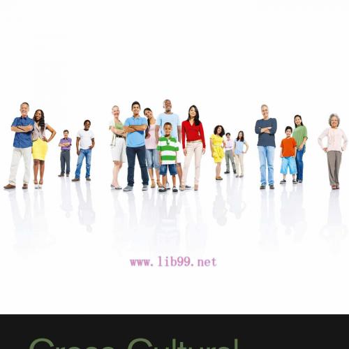 [AME]Cross-Cultural Family Research and Practice (EPUB)