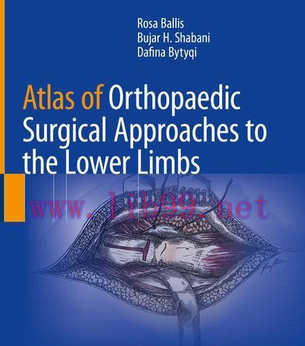 [AME]Atlas of Orthopaedic Surgical Approaches to the Lower Limbs (EPUB)
