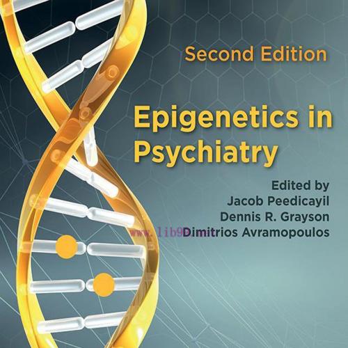 [AME]Epigenetics in Psychiatry, 2nd Edition (EPUB)