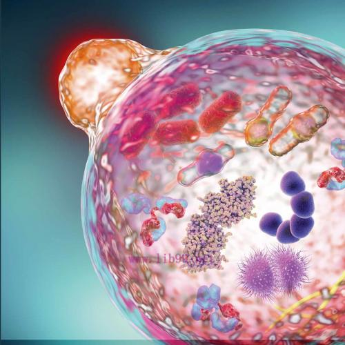 [AME]Autophagy Dysfunction in Alzheimer's Disease and Dementia (EPUB)