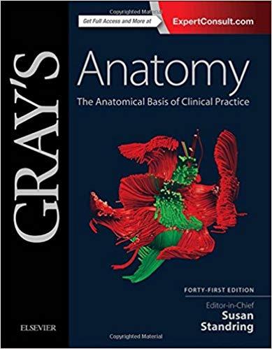 Gray&lsquo;s Anatomy - The Anatomical Basis of Clinical Practice 41th Edition
