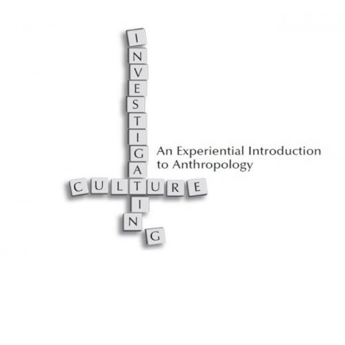 Investigating Culture An Experiential Introduction to Anthropology 3rd Edition - Carol Delaney ...