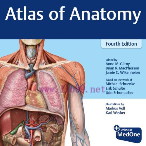 [AME]Atlas of Anatomy, 4ed (Original PDF)