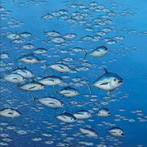 Statistics Concepts and Controversies 9th Edition David S. Moore