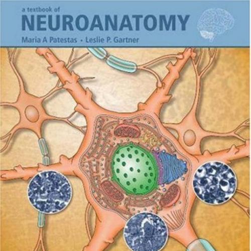 Patestas A Textbook of Neuroanatomy 1st txtbk
