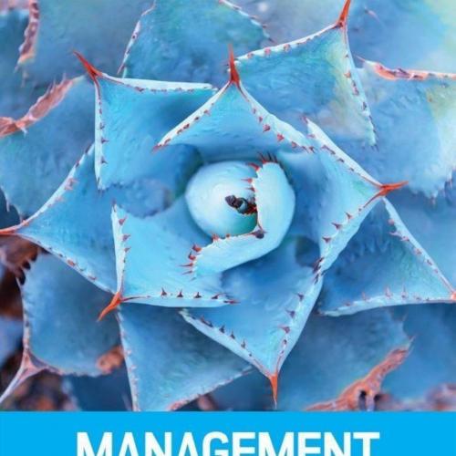 Management Control Systems European Edition