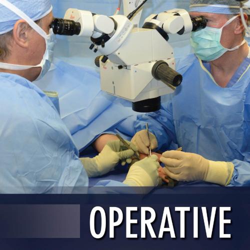Operative Microsurgery