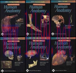 [AME](FREE) Aclands DVD Atlas of Human Anatomy (Full 6 DVDs)