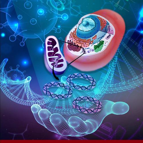 [AME]Forensic DNA Analyses Made Simple: A Guide for the Curious (EPUB)