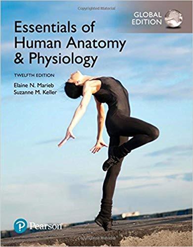 Essentials of Human Anatomy and Physiology 12th Global ed