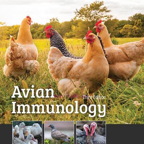 [AME]Avian Immunology, 3rd Edition (EPUB)
