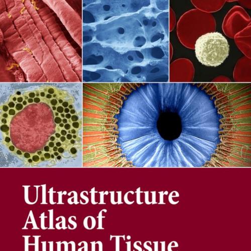 ULTRASTRUCTURE ATLAS OF HUMAN TISSUES
