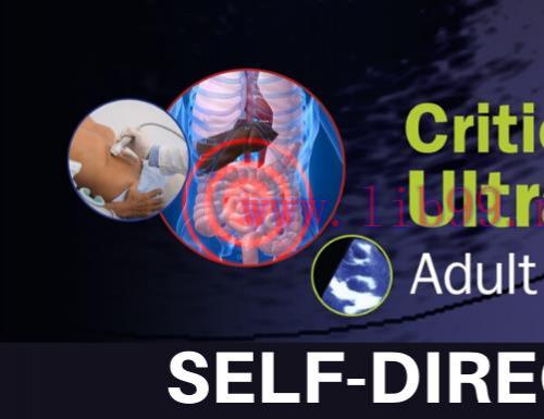 [AME]Critical Care Ultrasound: Adult Self-Directed 2020 (CME VIDEOS)
