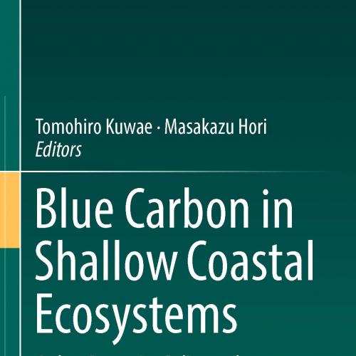 Blue Carbon in Shallow Coastal Ecosystems