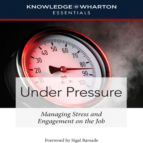 Under Pressure _ managing stress and engagement on the job
